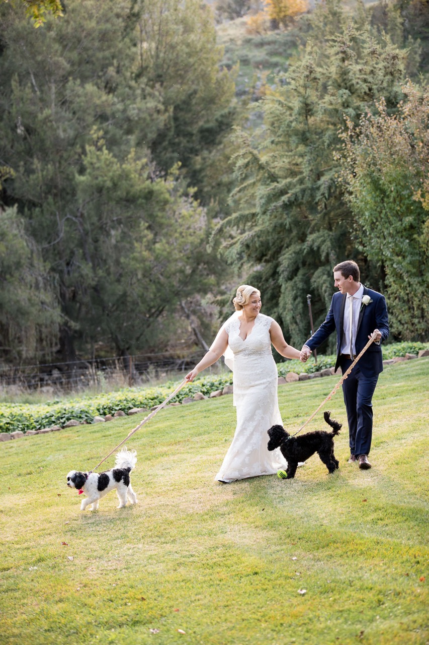 Wedding Photo